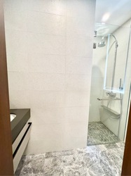 Parksuites (D10), Apartment #497703201